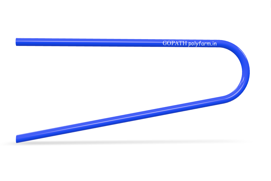 Gopath Installation View